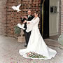 Releasing a Dove